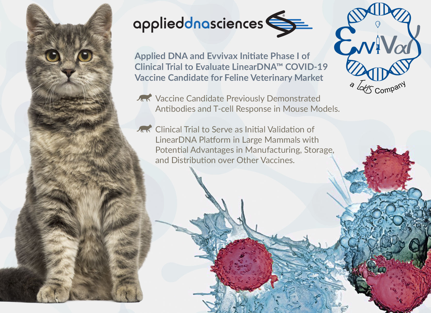 Applied DNA and Evvivax LinearDNA Covid 19 vaccine